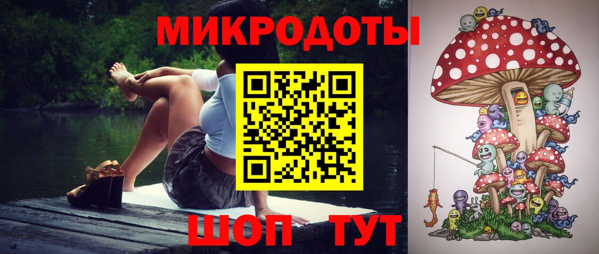Псилоцибиновые грибы Cubensis Миллерово